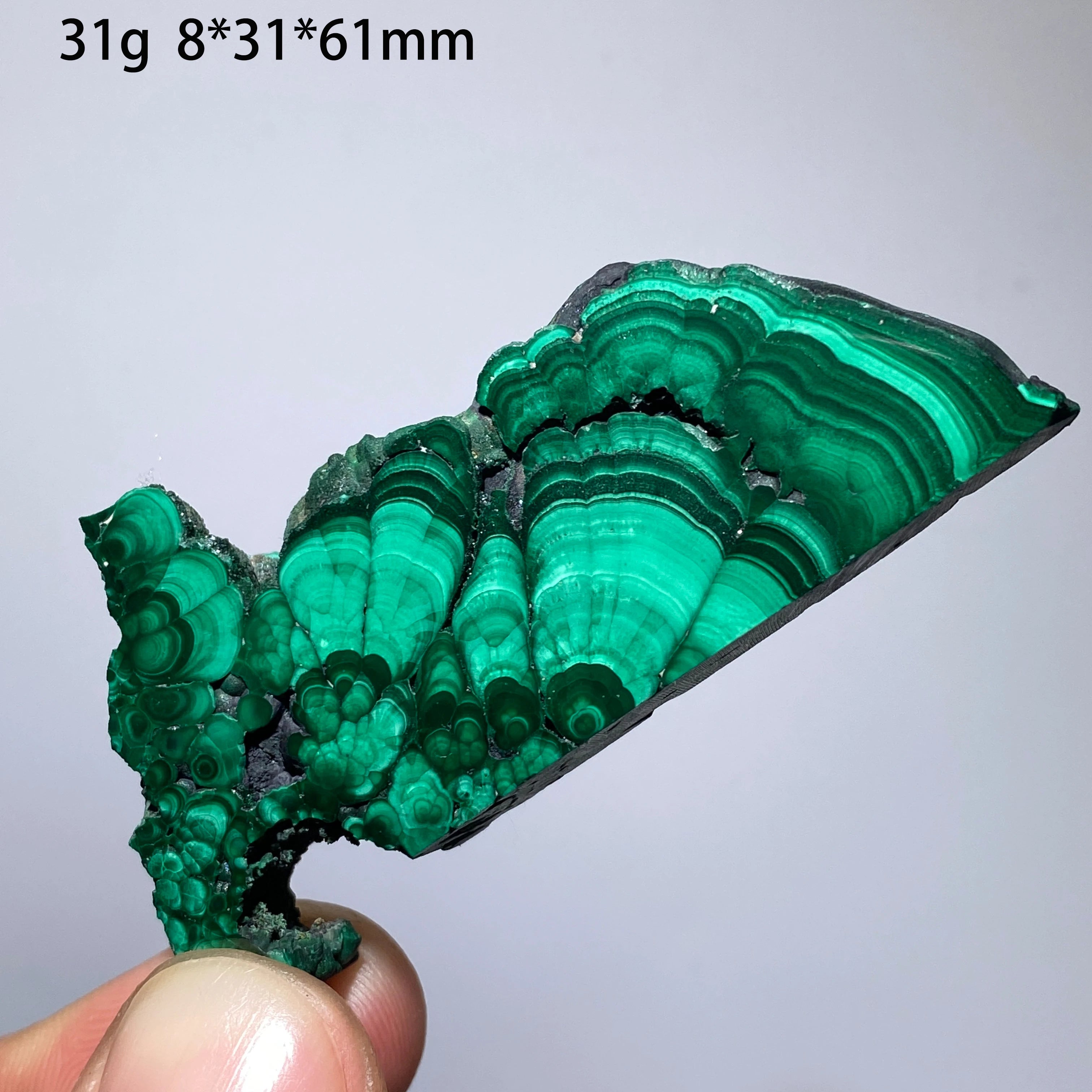 Malachite Naturale - Fetta Lucidata Cristallo Minerale per Decorazione
