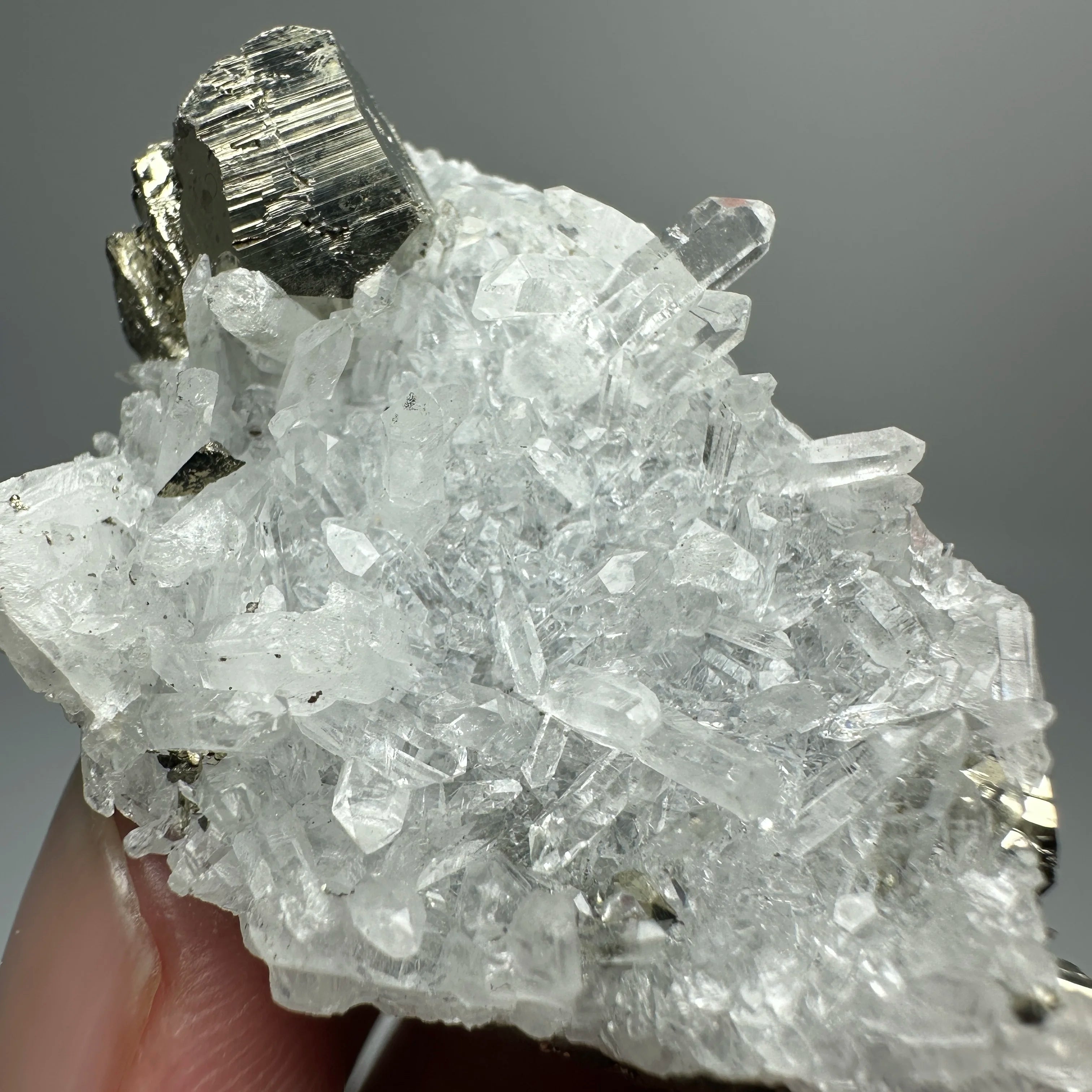 Pirite Dodecaedrica del Myanmar in Simbiosi con Quarzo - Specimen Minerale
