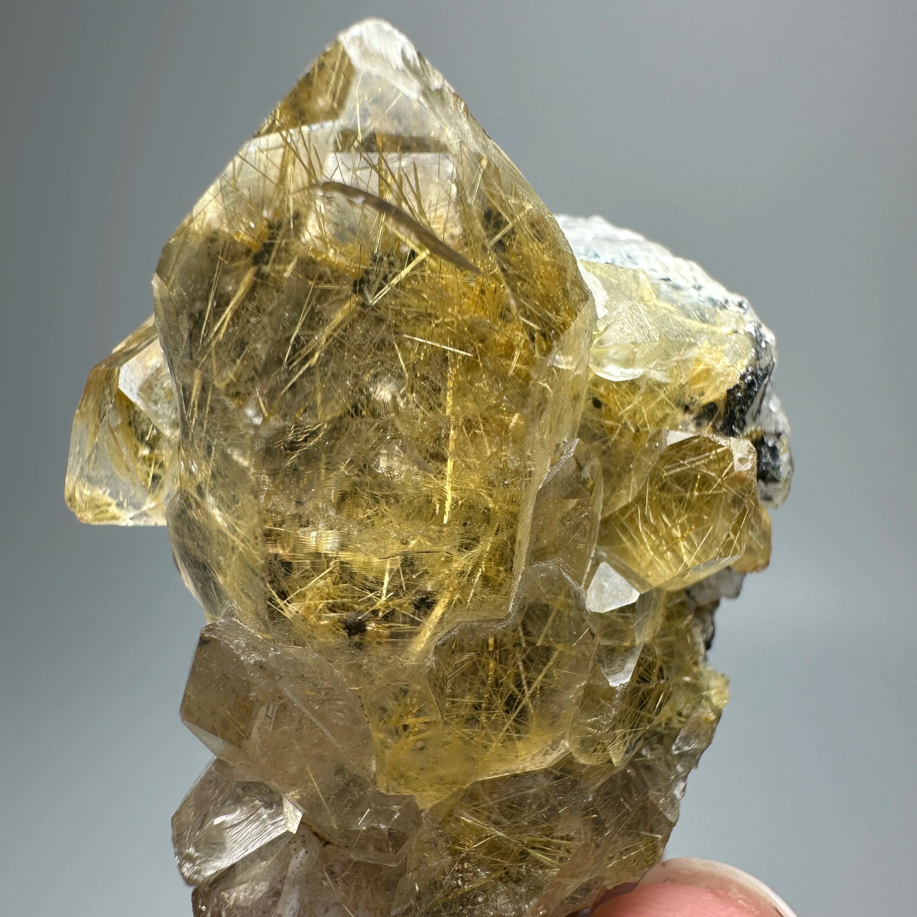Quarzo Rutilato Dorato del Brasile con Ematite Speculare - Specimen Minerale