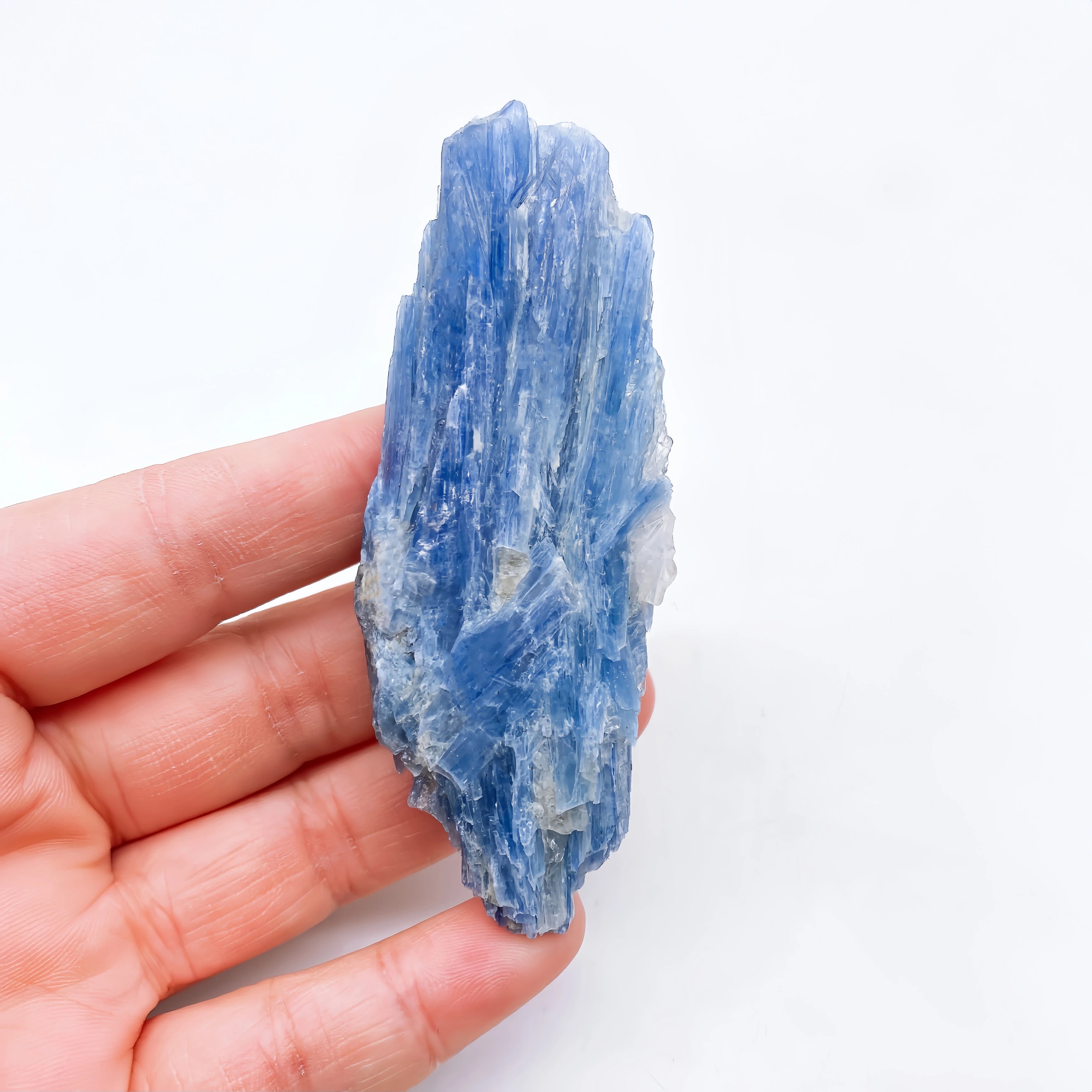 Cianite Naturale Grezza - Cristallo Minerale Specimen Reiki 2-6cm