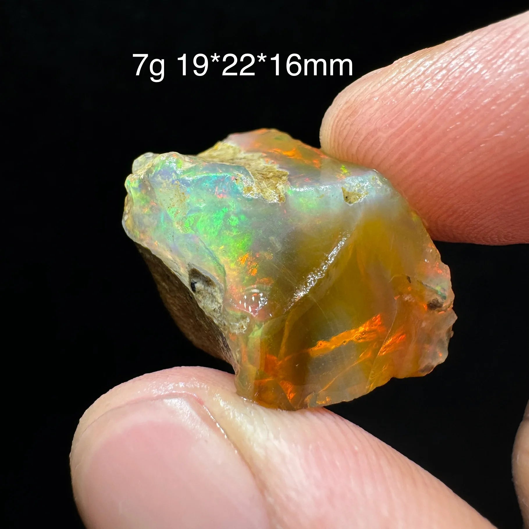 Opale Etiope Naturale Colorato - Da Conservare in Acqua Specimen Gemma