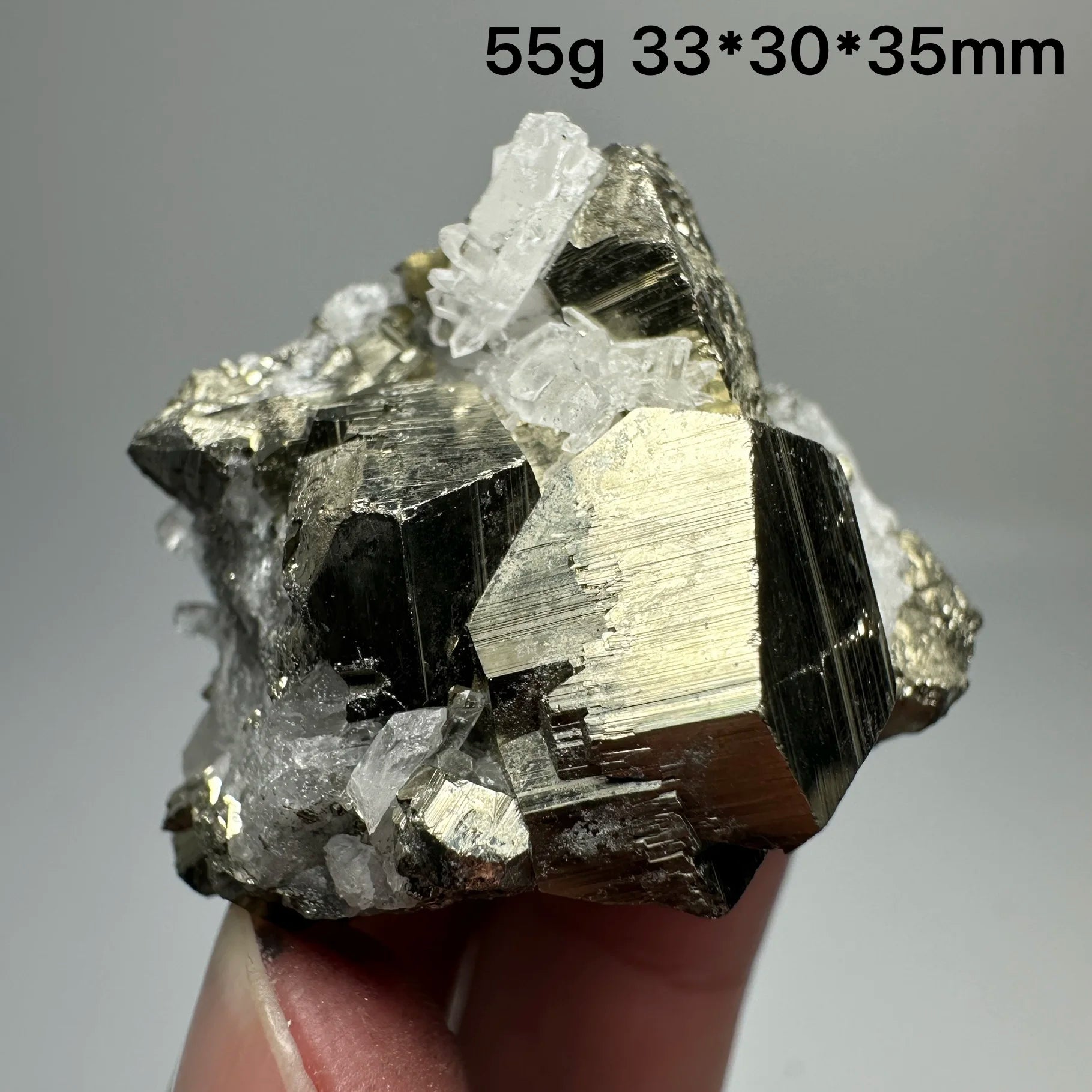 Pirite Dodecaedrica del Myanmar in Simbiosi con Quarzo - Specimen Minerale