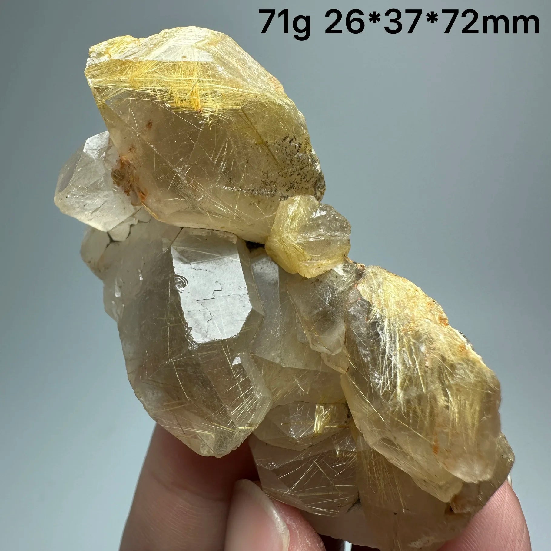 Quarzo Rutilato Dorato del Brasile con Ematite Speculare - Specimen Minerale