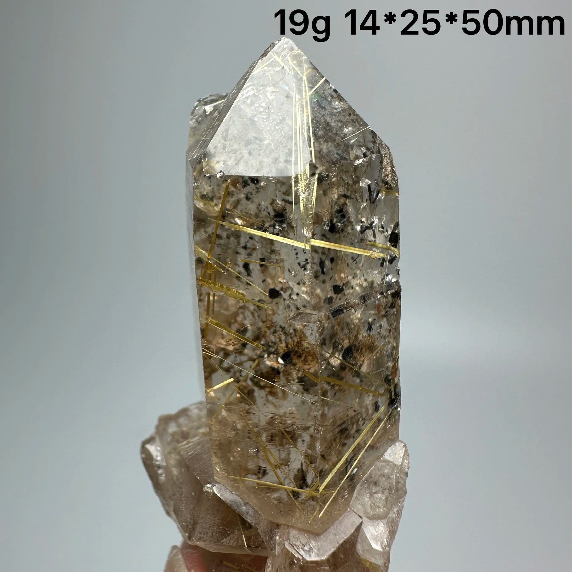 Quarzo Rutilato Dorato del Brasile con Ematite Speculare - Specimen Minerale