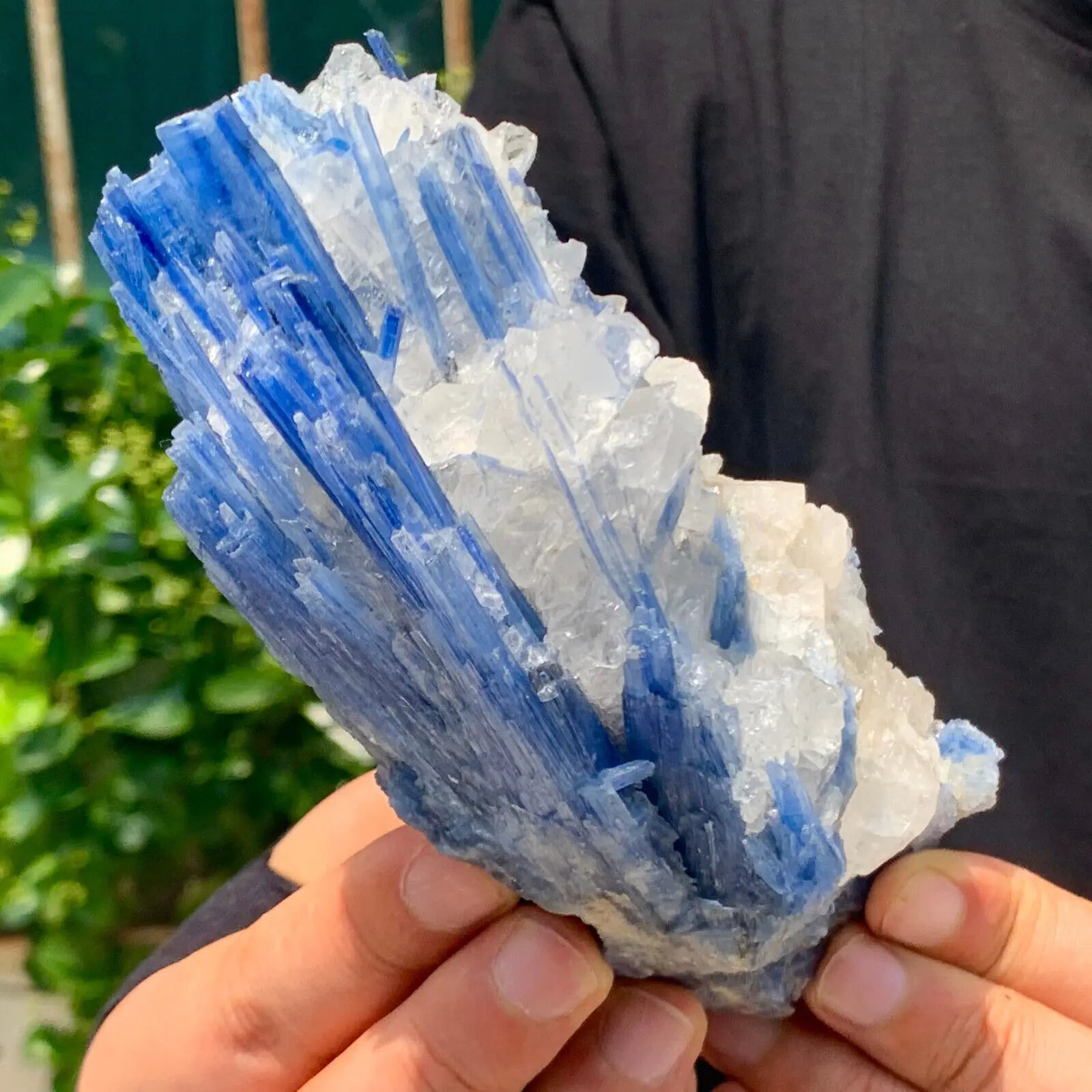 Natural Formed! Kyanite, Blue Quartz Crystal Ore, Rough Primitive Stone, Mineral, Reiki, Healing