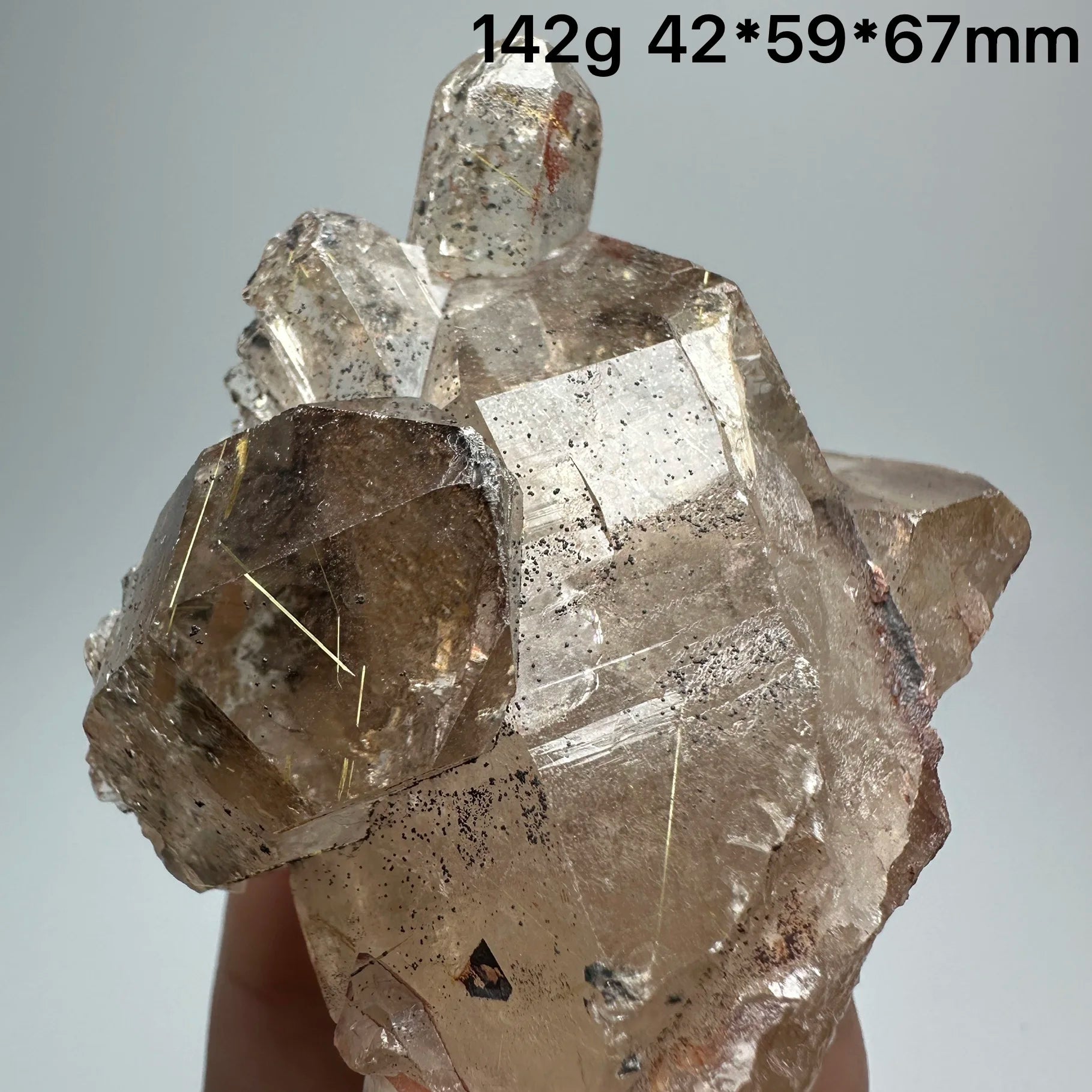 Quarzo Rutilato Dorato del Brasile con Ematite Speculare - Specimen Minerale