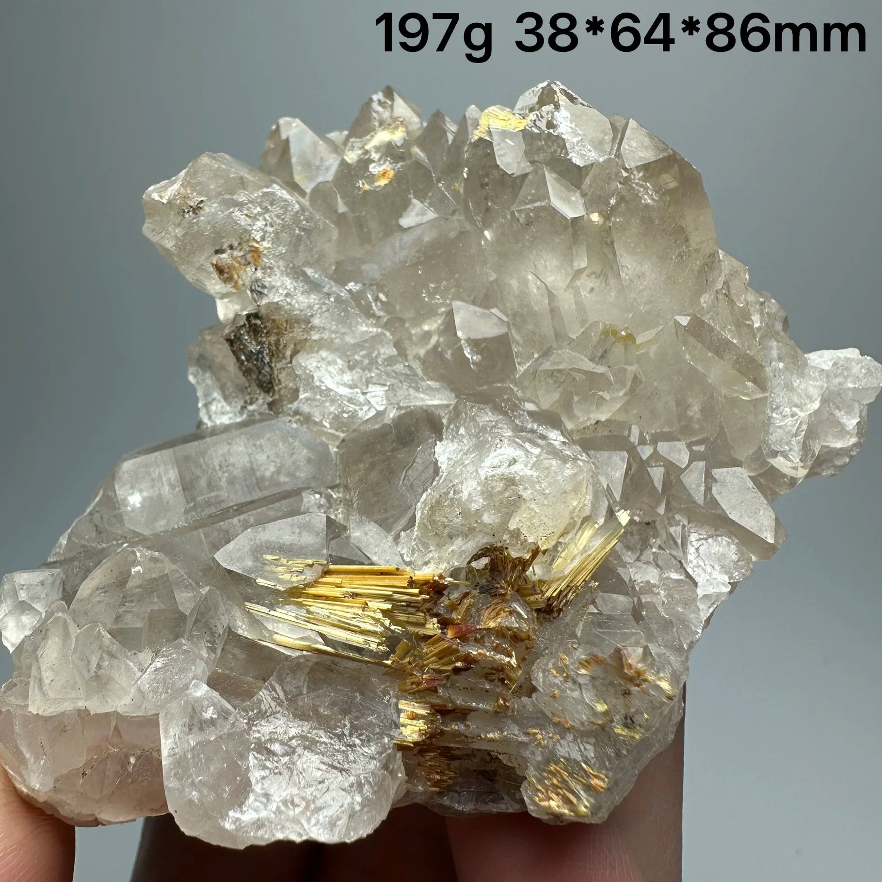 Quarzo Rutilato Dorato del Brasile con Ematite Speculare - Specimen Minerale