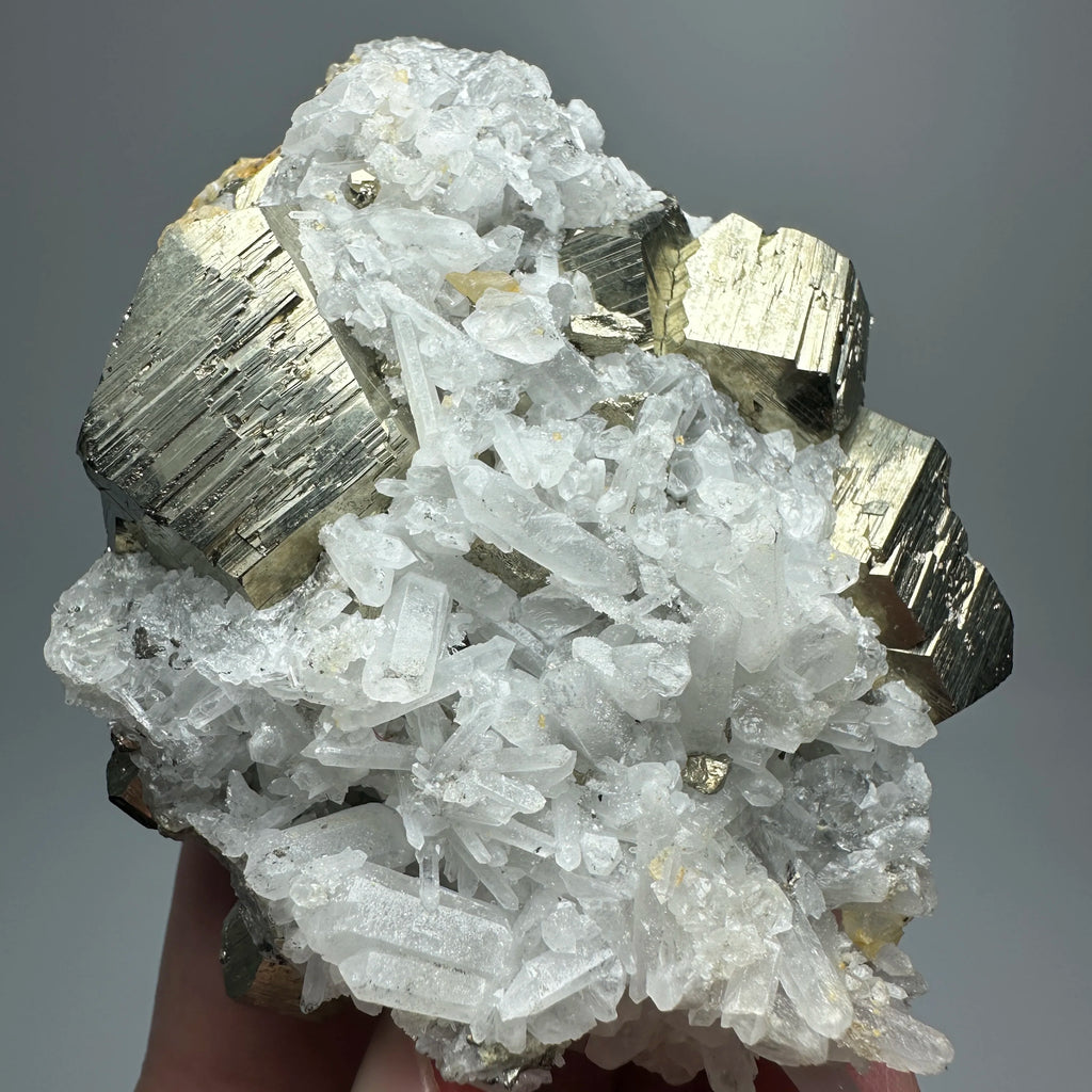 Pirite Dodecaedrica del Myanmar in Simbiosi con Quarzo - Specimen Minerale