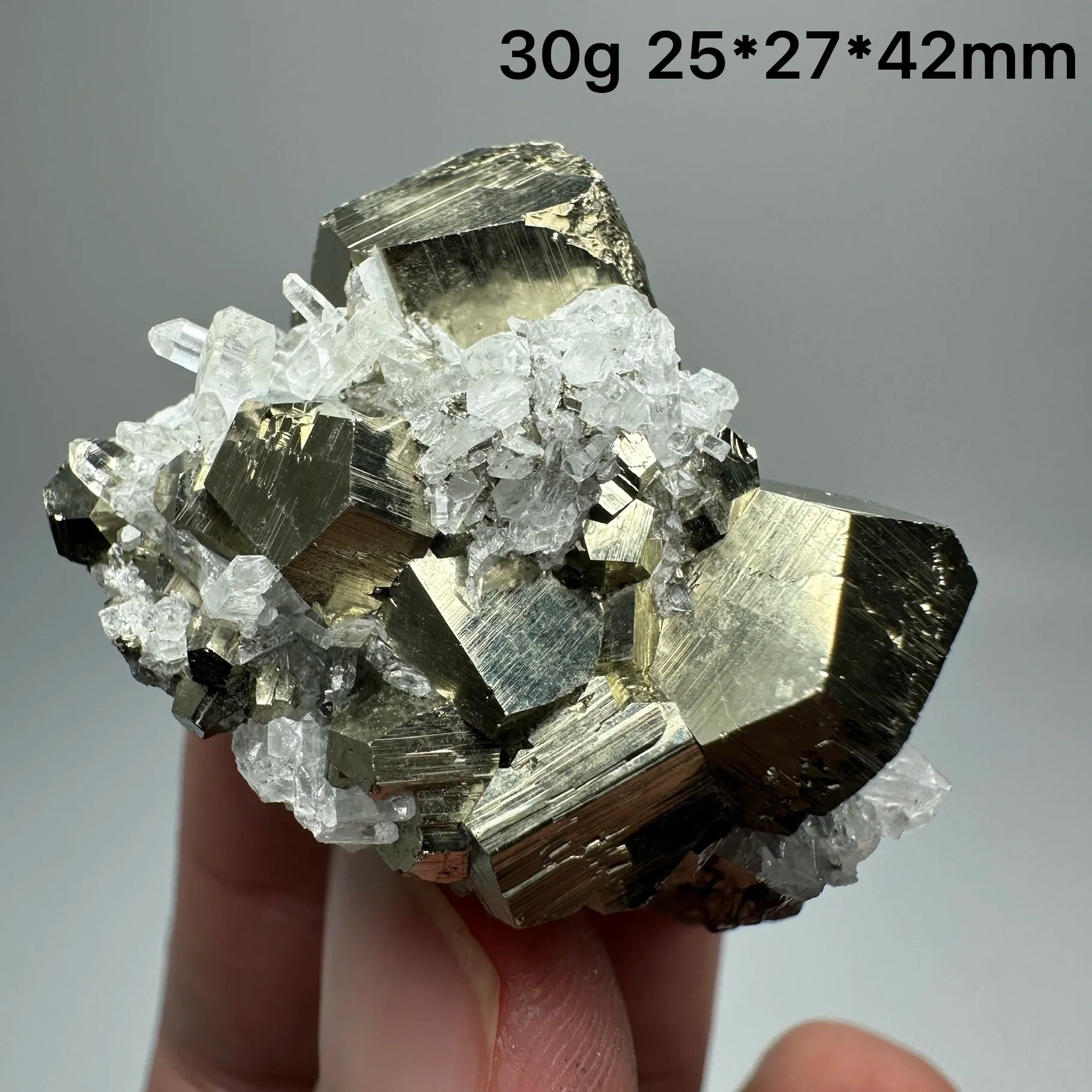 Pirite Dodecaedrica del Myanmar in Simbiosi con Quarzo - Specimen Minerale