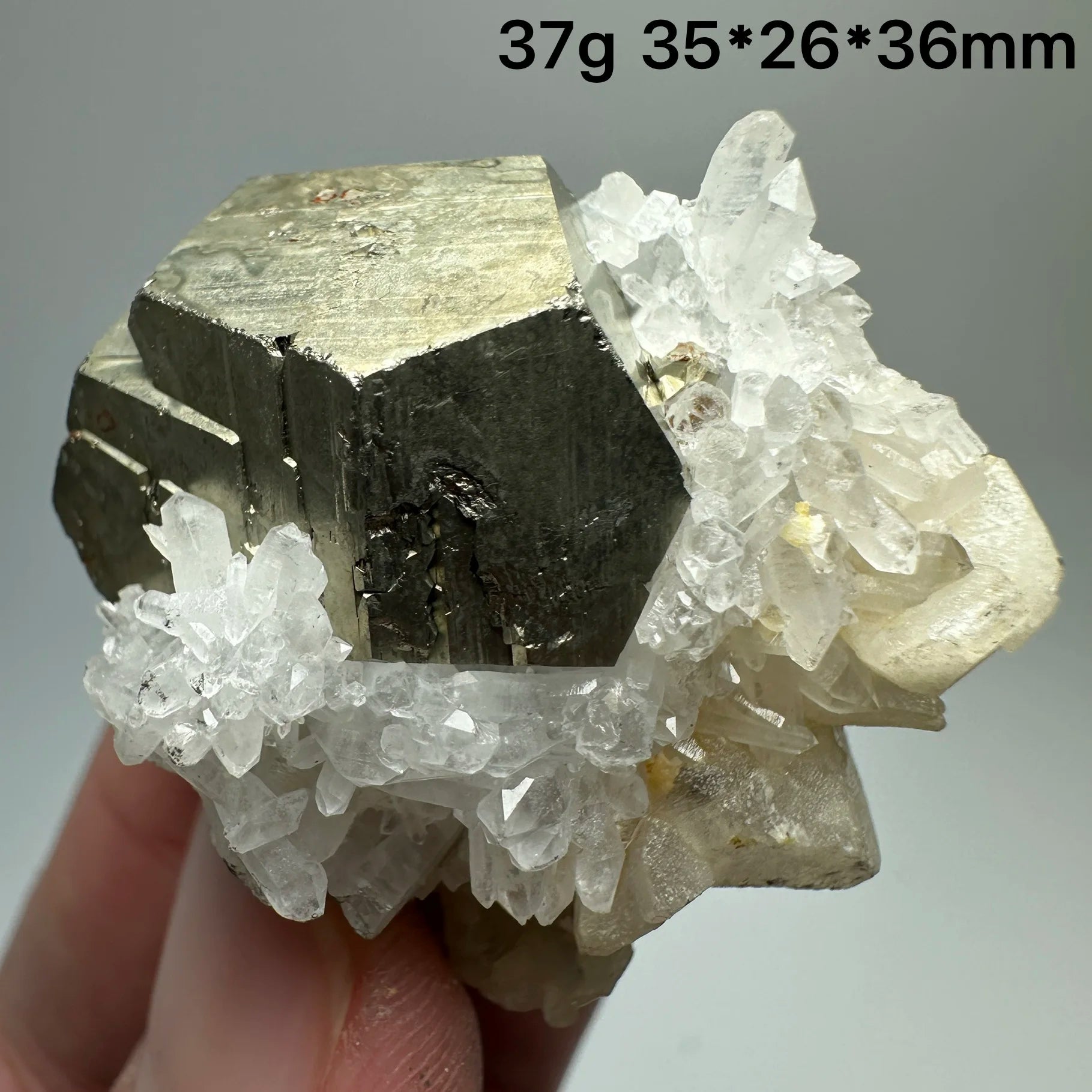 Pirite Dodecaedrica del Myanmar in Simbiosi con Quarzo - Specimen Minerale