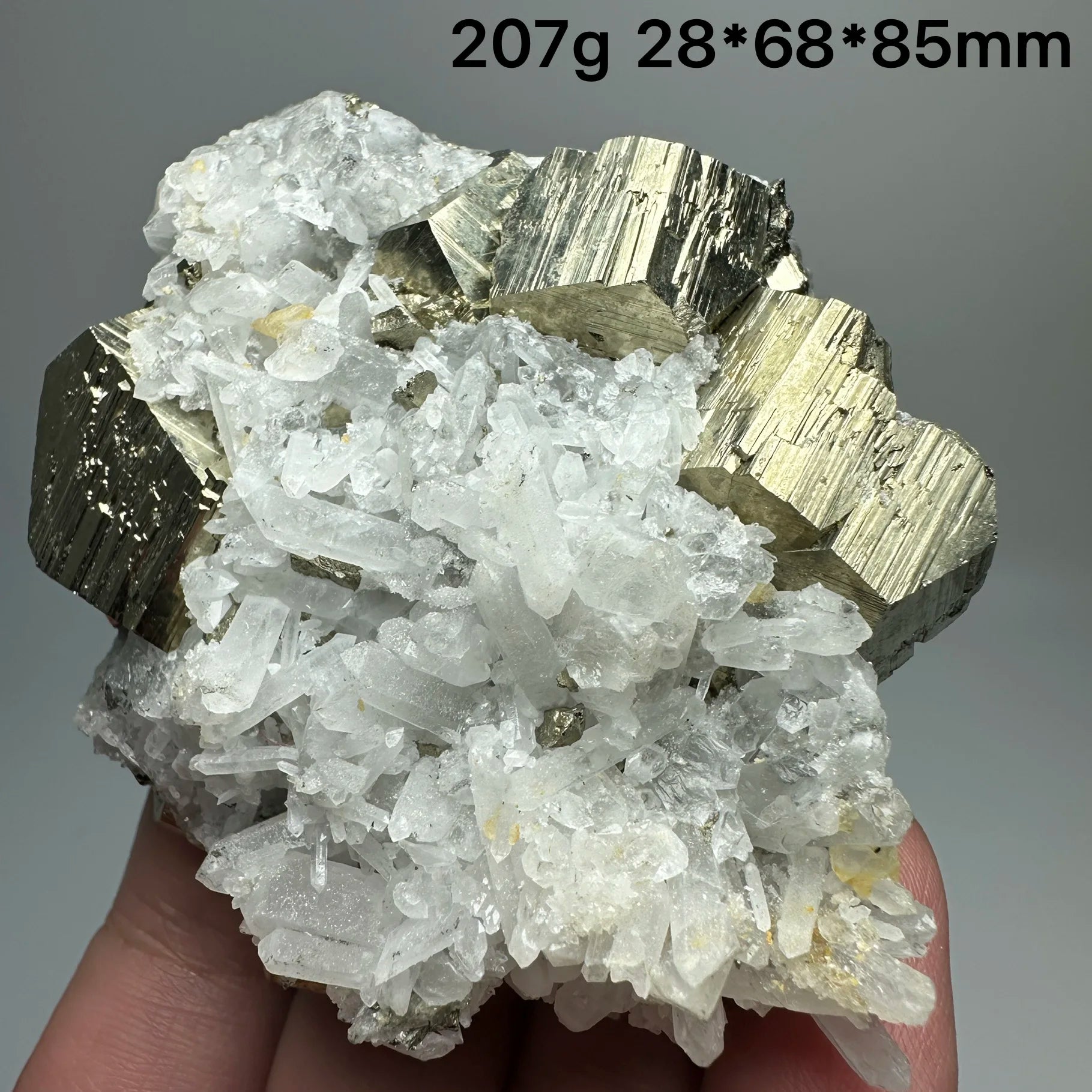 Pirite Dodecaedrica del Myanmar in Simbiosi con Quarzo - Specimen Minerale
