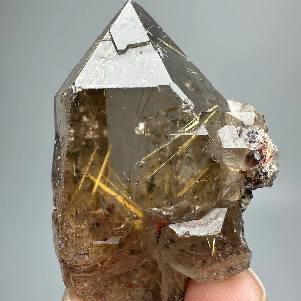 Quarzo Rutilato Dorato del Brasile con Ematite Speculare - Specimen Minerale