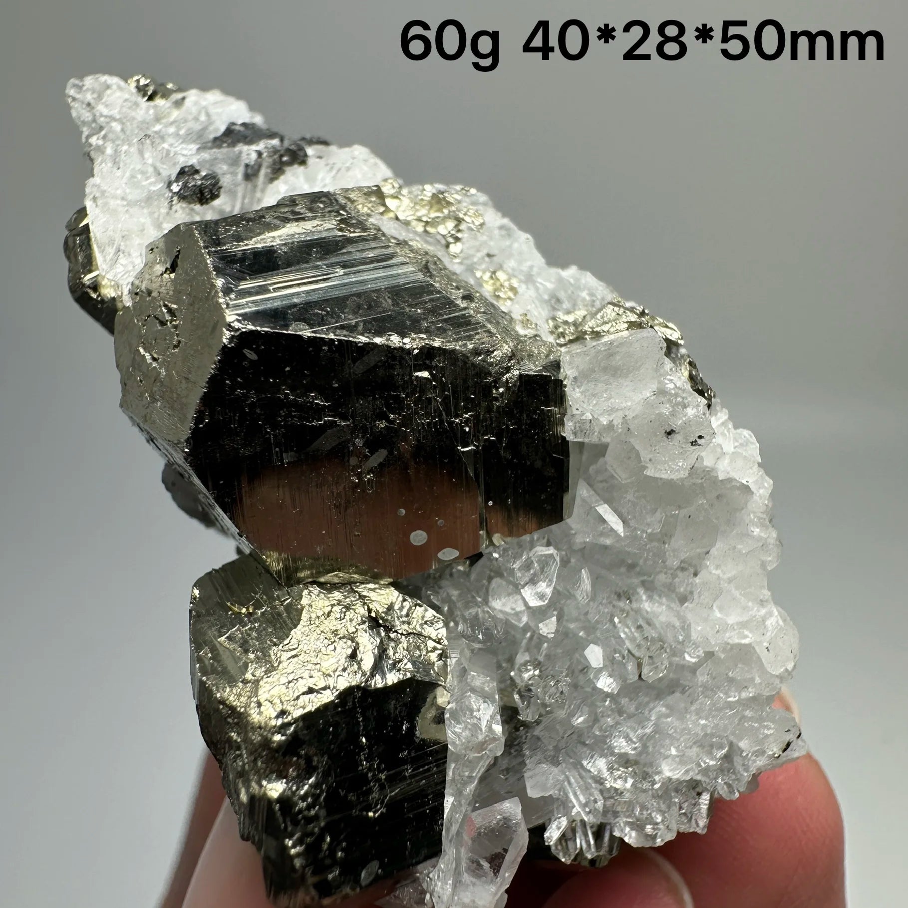 Pirite Dodecaedrica del Myanmar in Simbiosi con Quarzo - Specimen Minerale