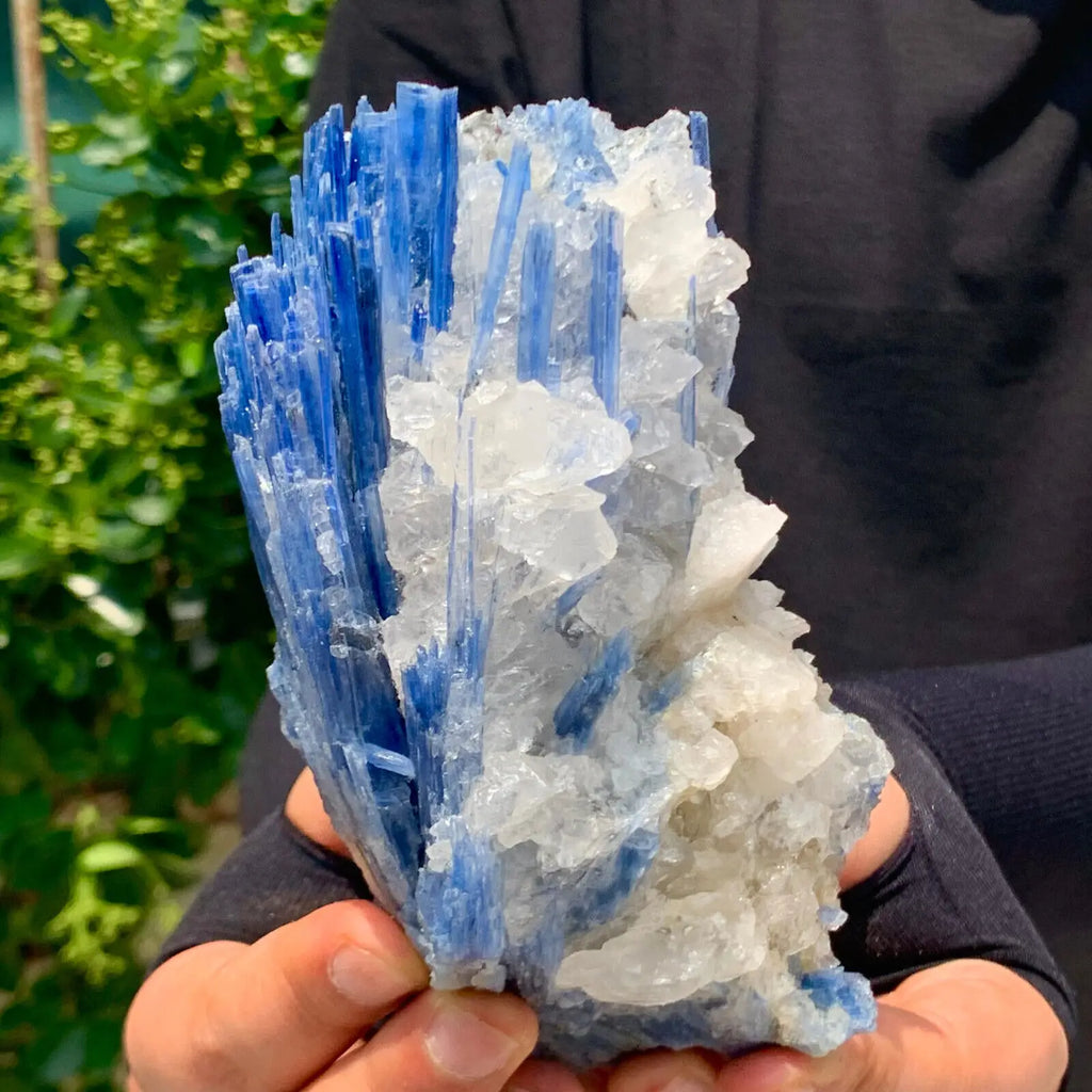 Natural Formed! Kyanite, Blue Quartz Crystal Ore, Rough Primitive Stone, Mineral, Reiki, Healing