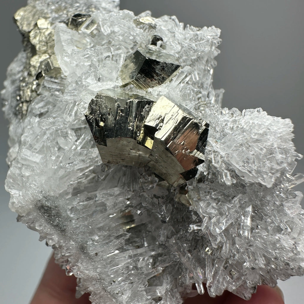 Pirite Dodecaedrica del Myanmar in Simbiosi con Quarzo - Specimen Minerale