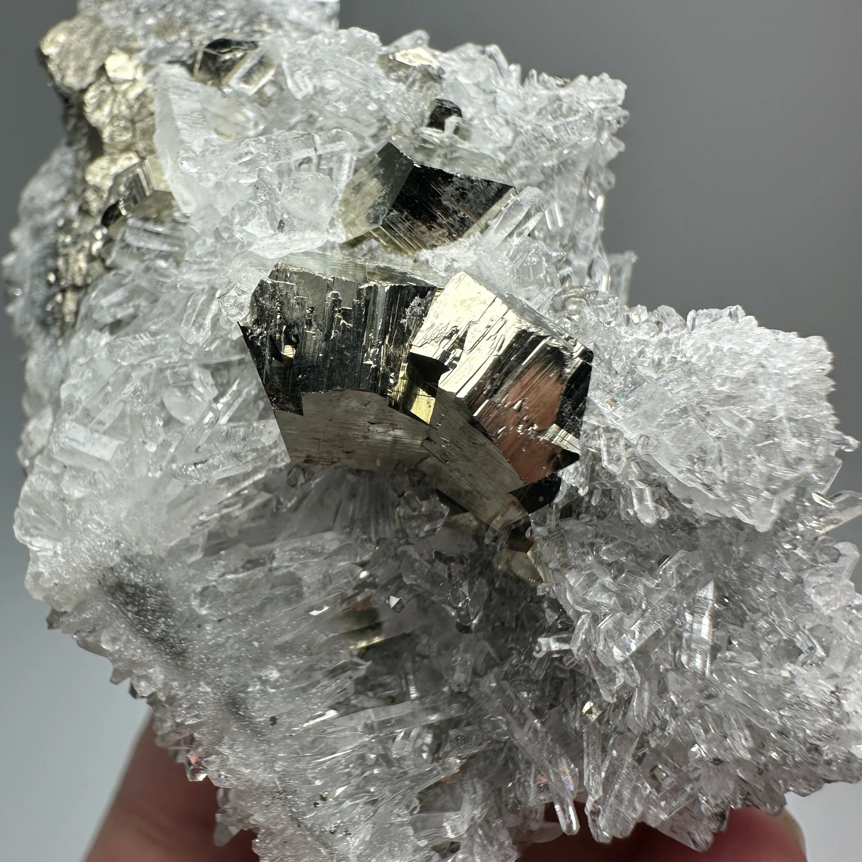 Pirite Dodecaedrica del Myanmar in Simbiosi con Quarzo - Specimen Minerale