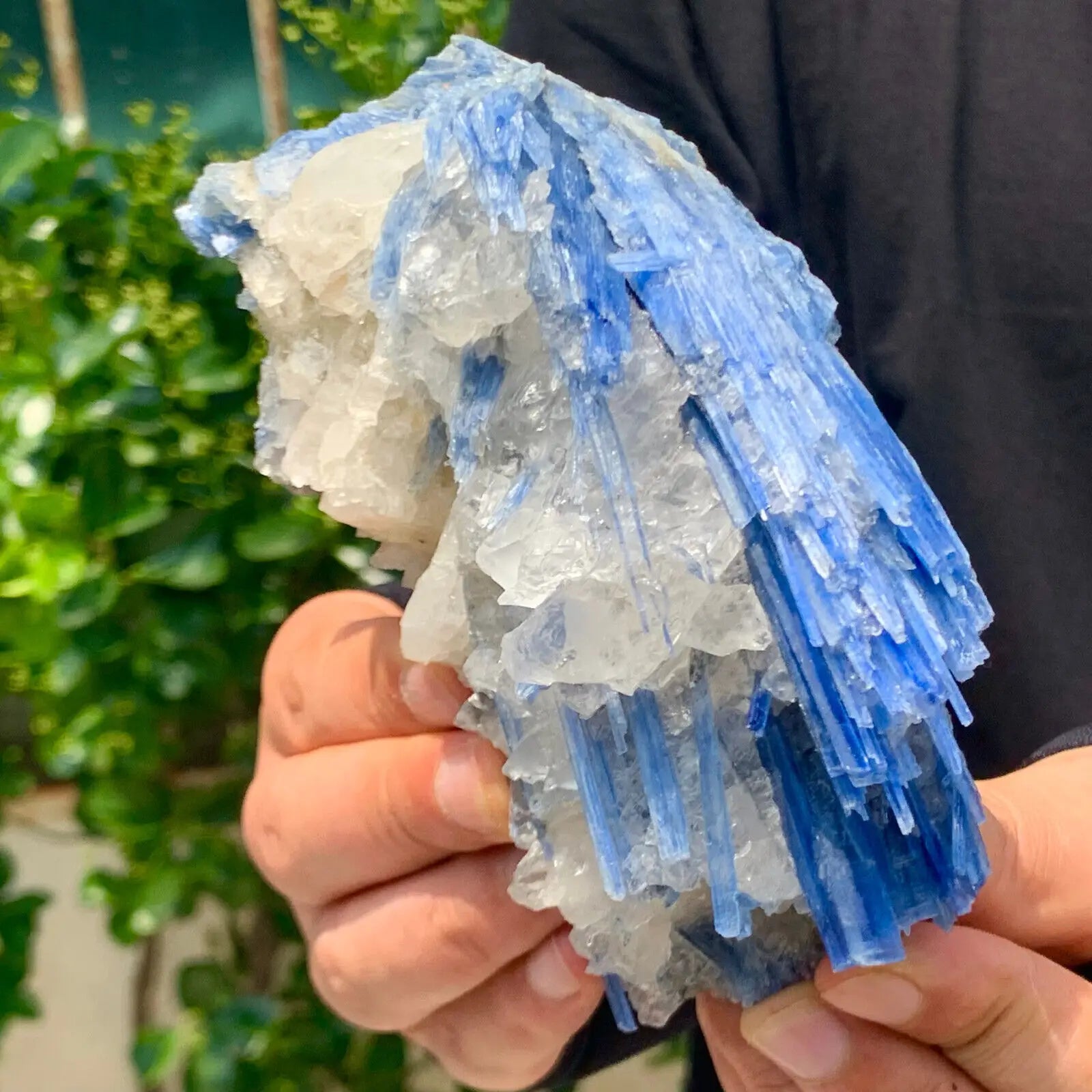 Natural Formed! Kyanite, Blue Quartz Crystal Ore, Rough Primitive Stone, Mineral, Reiki, Healing