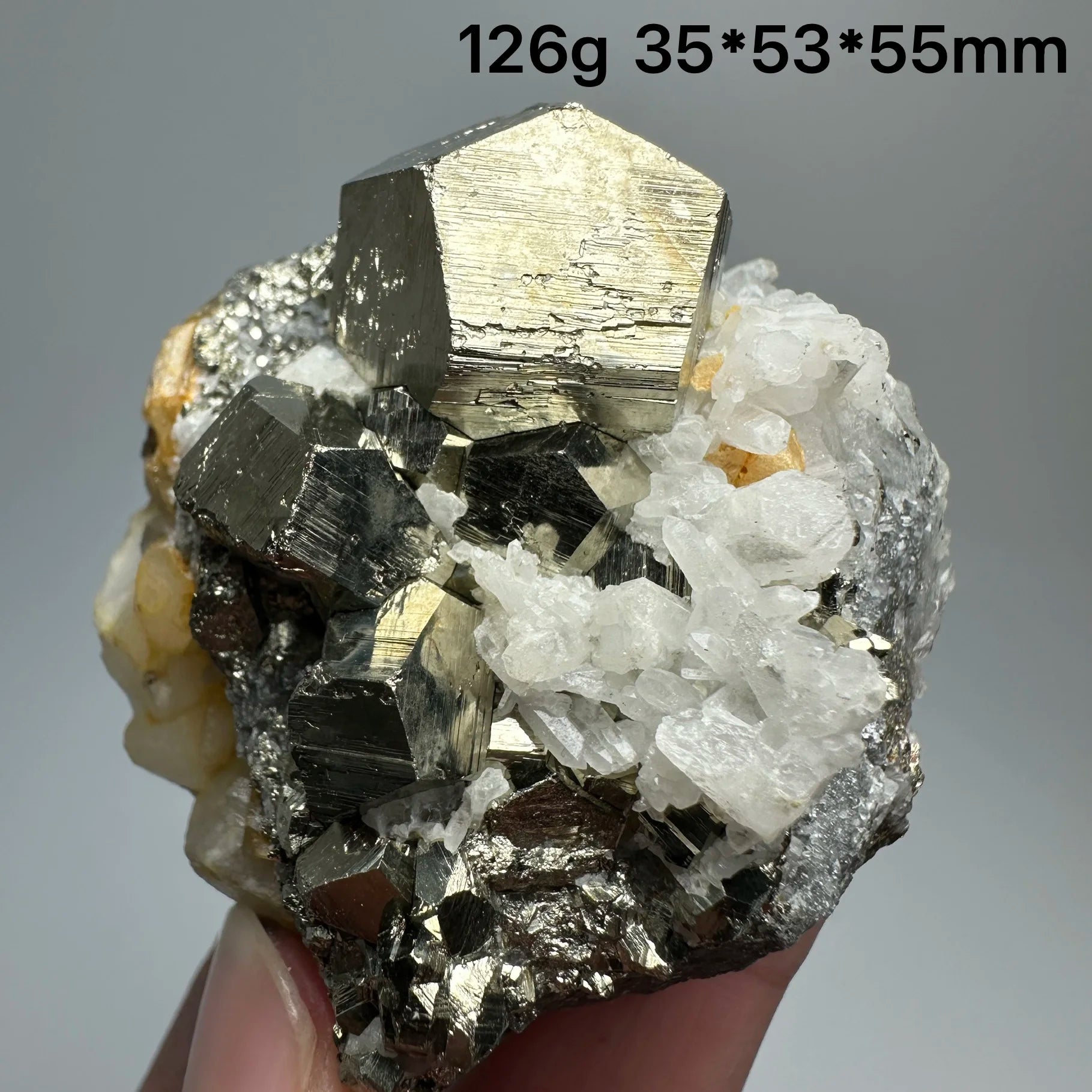 Pirite Dodecaedrica del Myanmar in Simbiosi con Quarzo - Specimen Minerale
