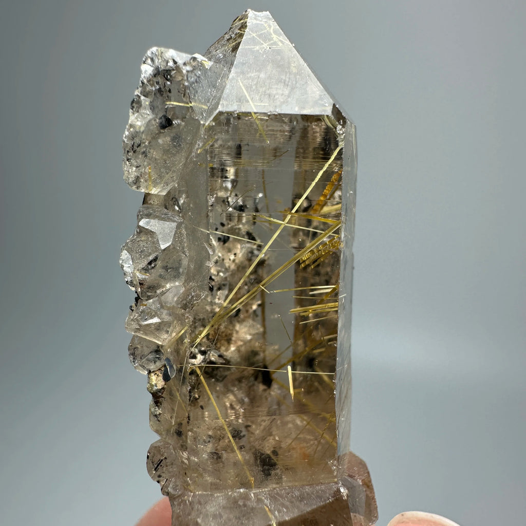 Quarzo Rutilato Dorato del Brasile con Ematite Speculare - Specimen Minerale
