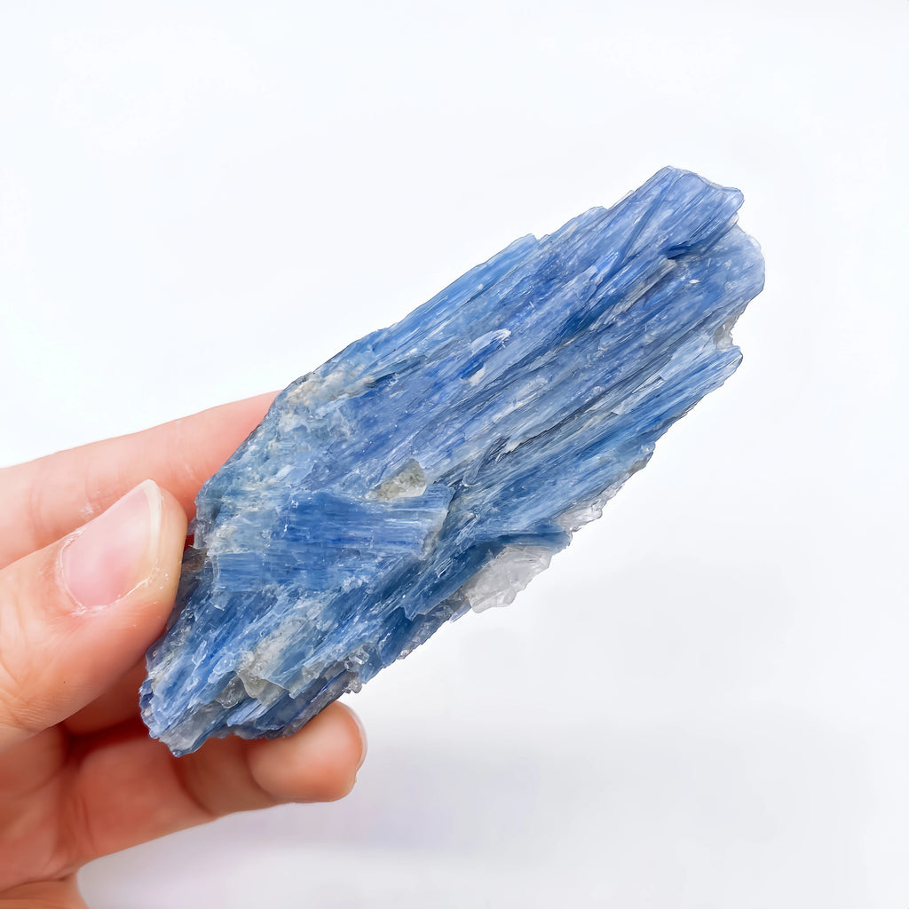 Cianite Naturale Grezza - Cristallo Minerale Specimen Reiki 2-6cm