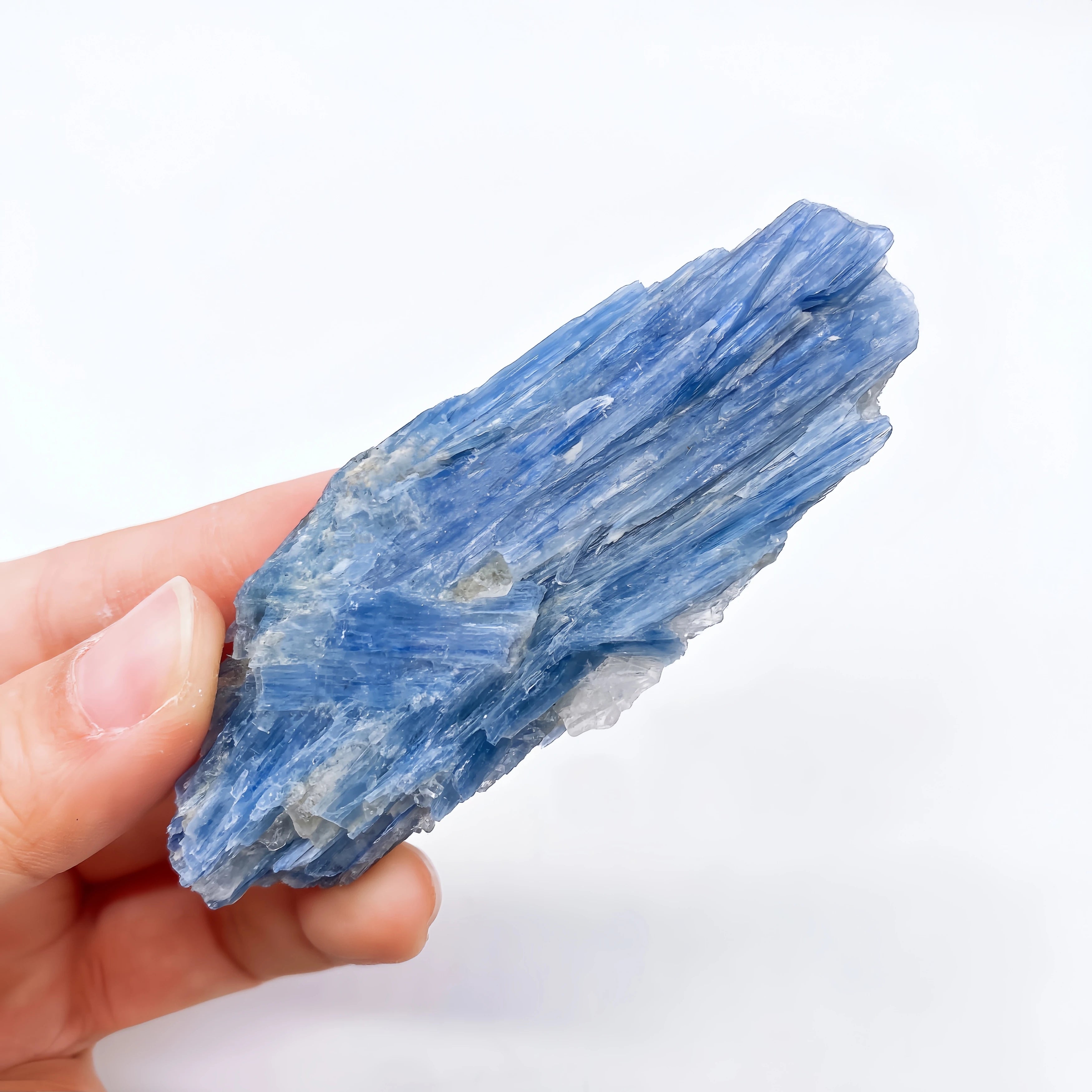 Cianite Naturale Grezza - Cristallo Minerale Specimen Reiki 2-6cm