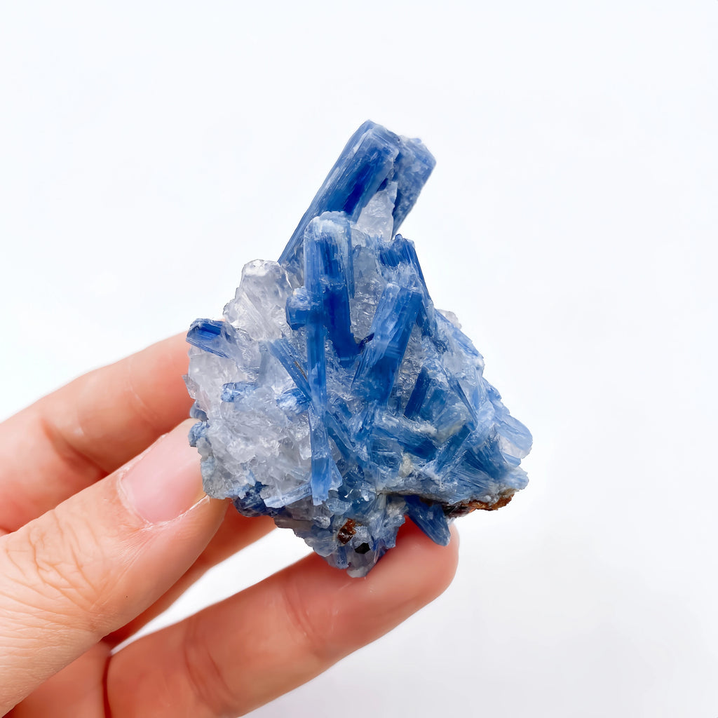 Cianite Naturale Grezza - Cristallo Minerale Specimen Reiki 2-6cm
