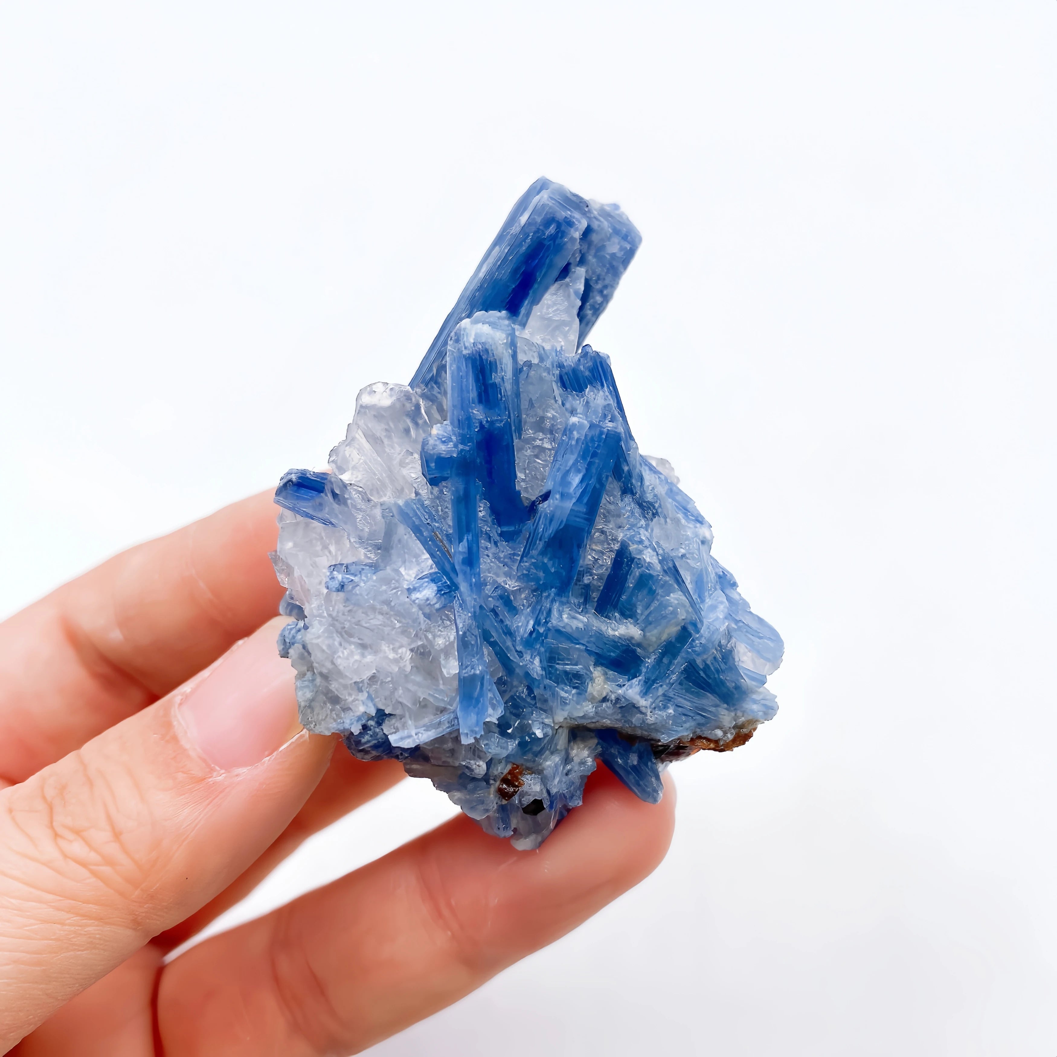 Cianite Naturale Grezza - Cristallo Minerale Specimen Reiki 2-6cm