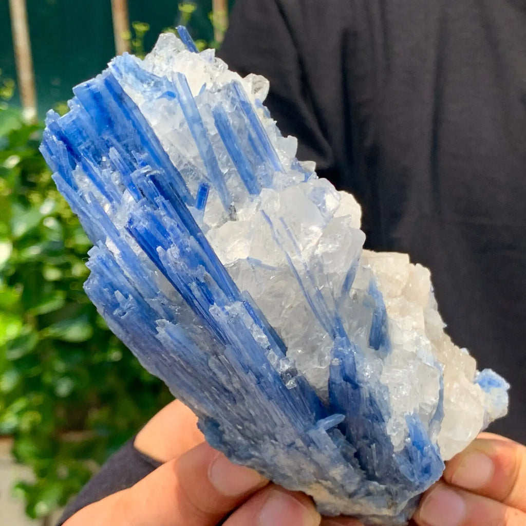 Natural Formed! Kyanite, Blue Quartz Crystal Ore, Rough Primitive Stone, Mineral, Reiki, Healing