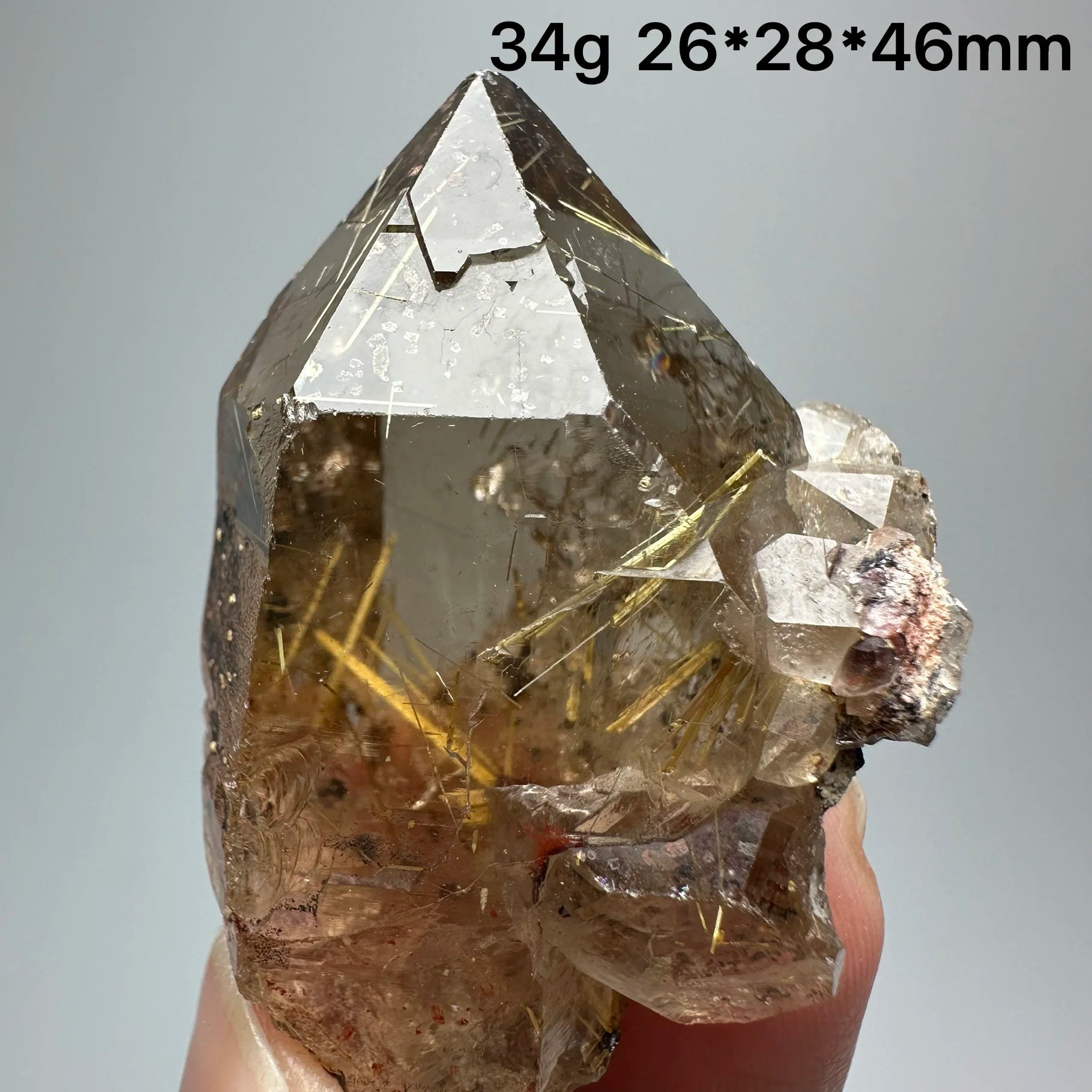 Quarzo Rutilato Dorato del Brasile con Ematite Speculare - Specimen Minerale