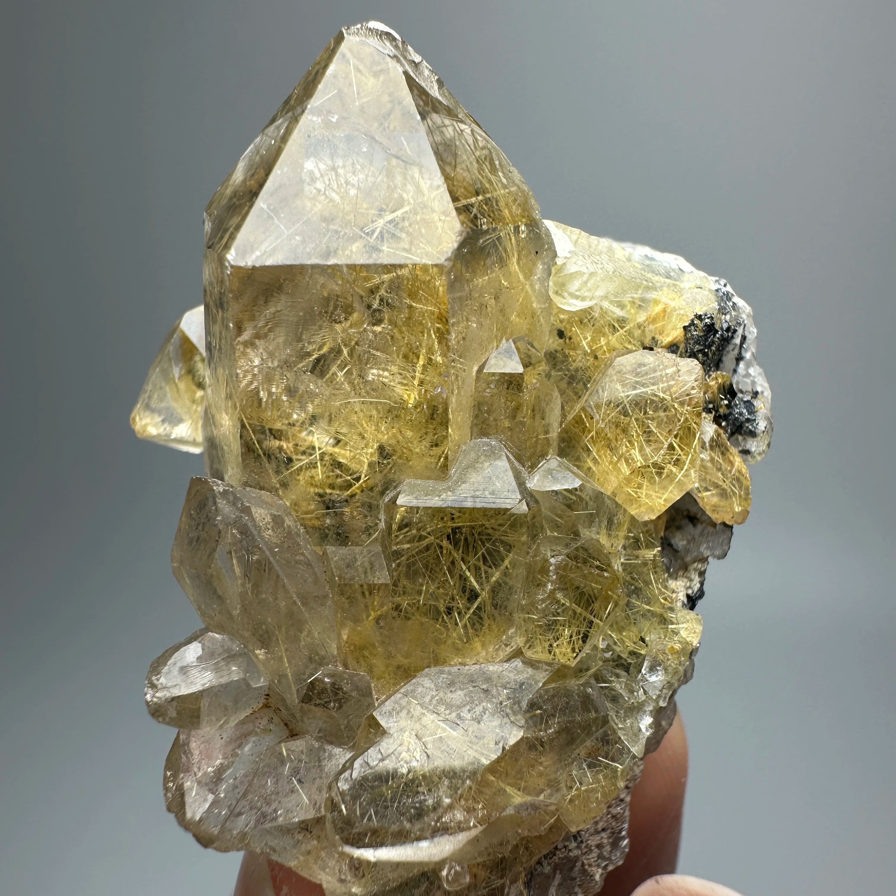 Quarzo Rutilato Dorato del Brasile con Ematite Speculare - Specimen Minerale