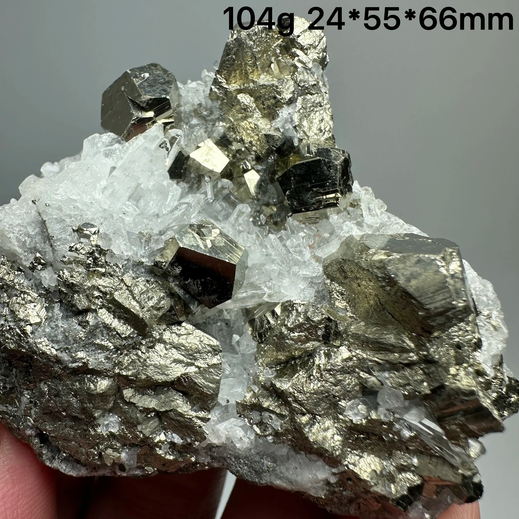 Pirite Dodecaedrica del Myanmar in Simbiosi con Quarzo - Specimen Minerale