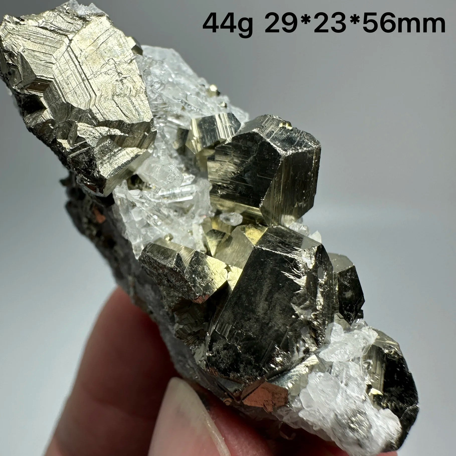 Pirite Dodecaedrica del Myanmar in Simbiosi con Quarzo - Specimen Minerale