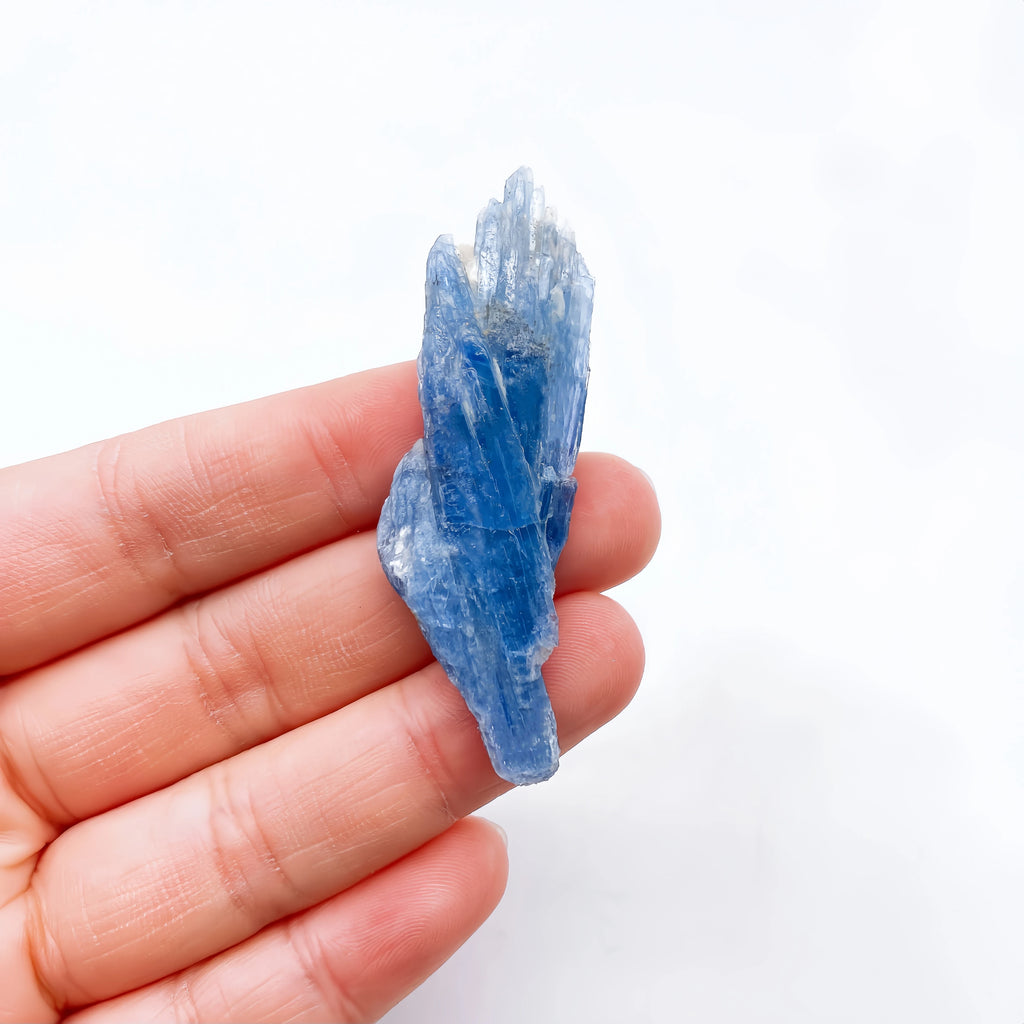 Cianite Naturale Grezza - Cristallo Minerale Specimen Reiki 2-6cm