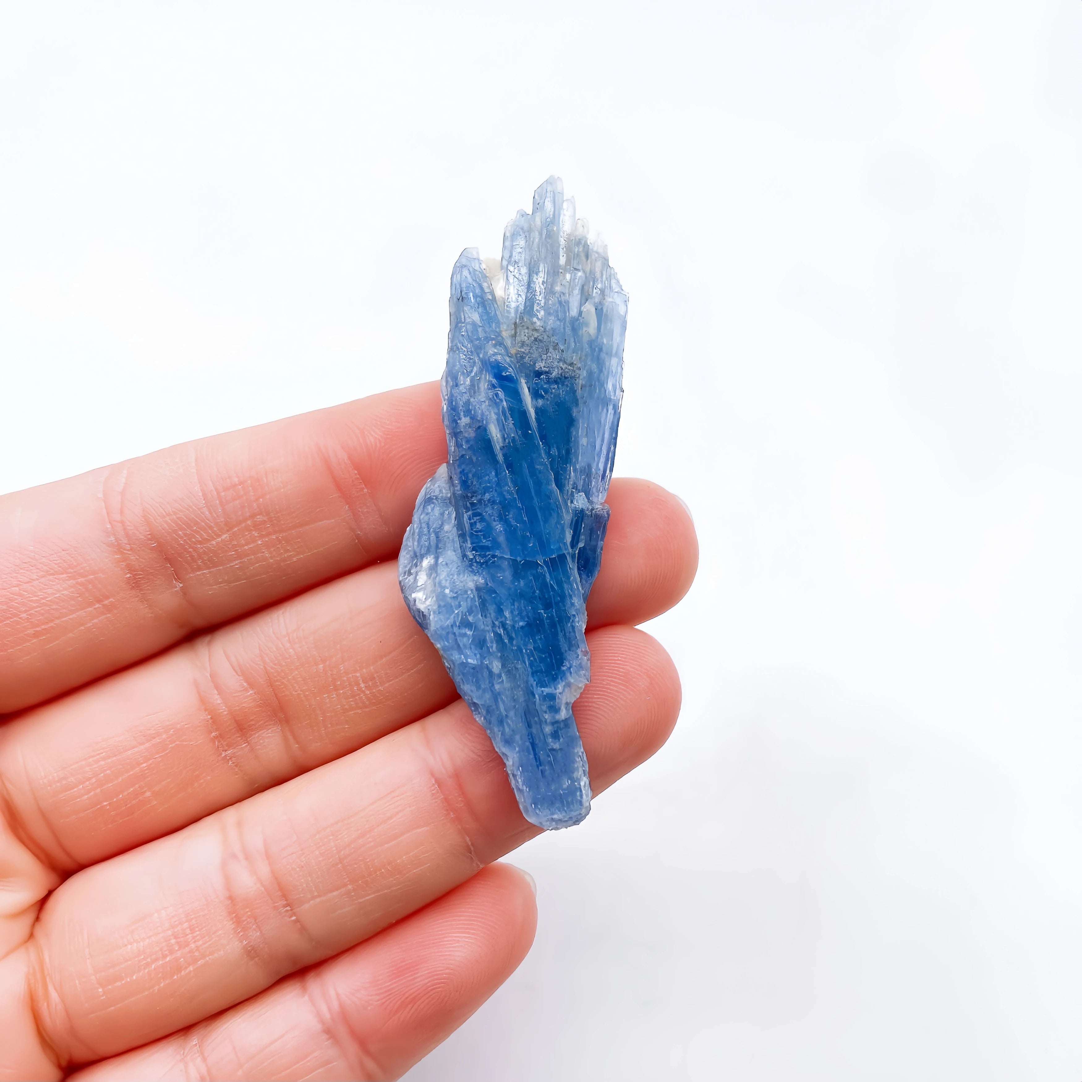 Cianite Naturale Grezza - Cristallo Minerale Specimen Reiki 2-6cm
