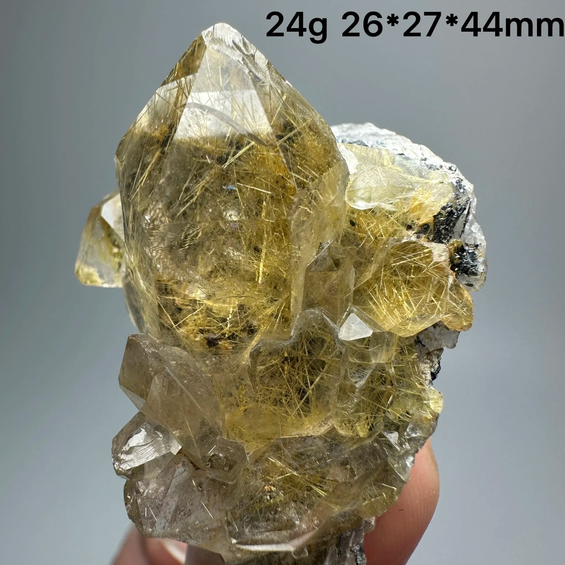 Quarzo Rutilato Dorato del Brasile con Ematite Speculare - Specimen Minerale