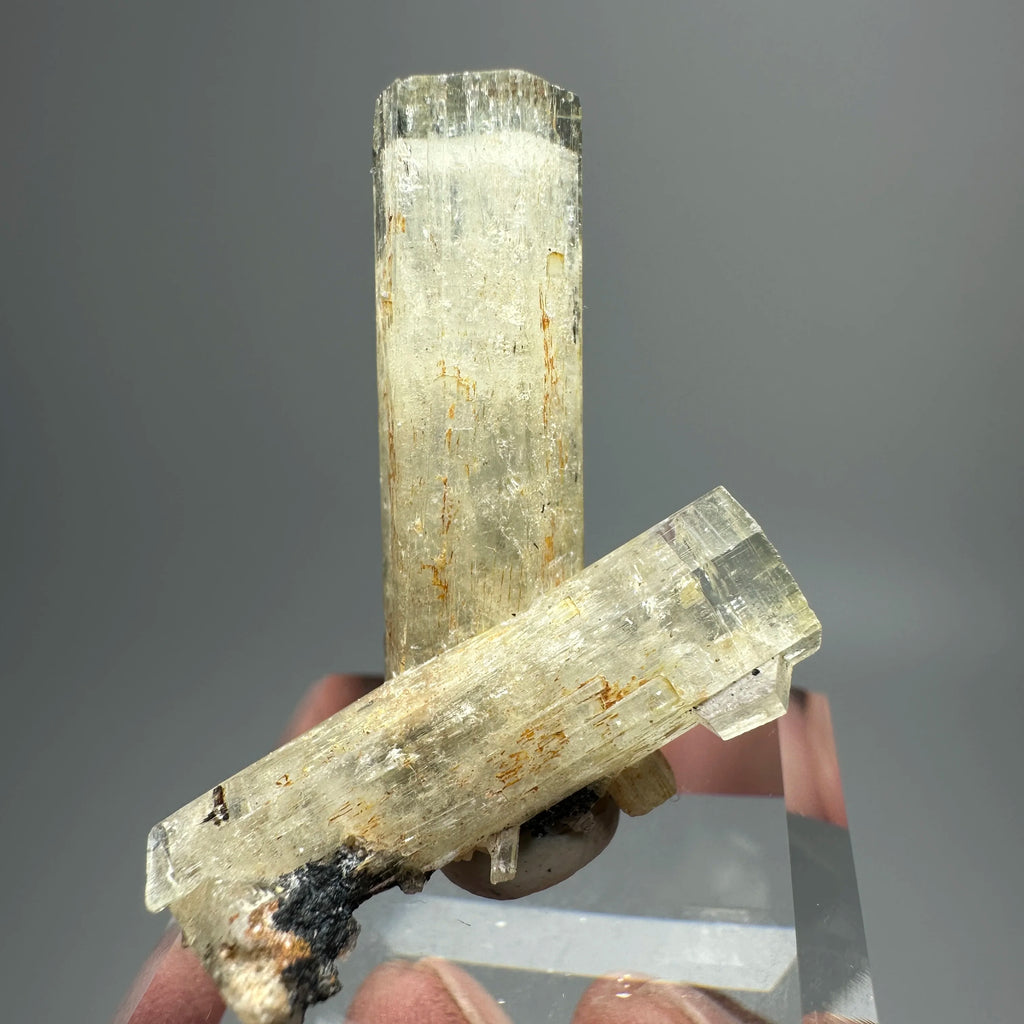 Acquamarina Naturale della Namibia - Cristallo Grezzo Specimen Minerale