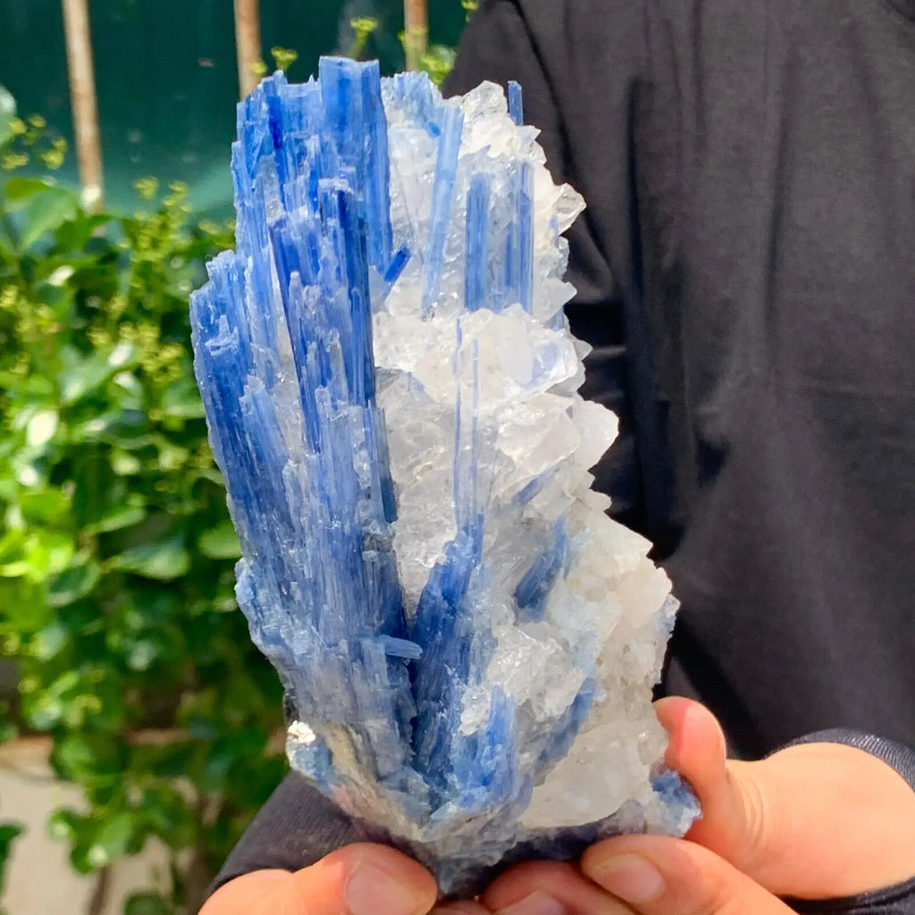 Natural Formed! Kyanite, Blue Quartz Crystal Ore, Rough Primitive Stone, Mineral, Reiki, Healing